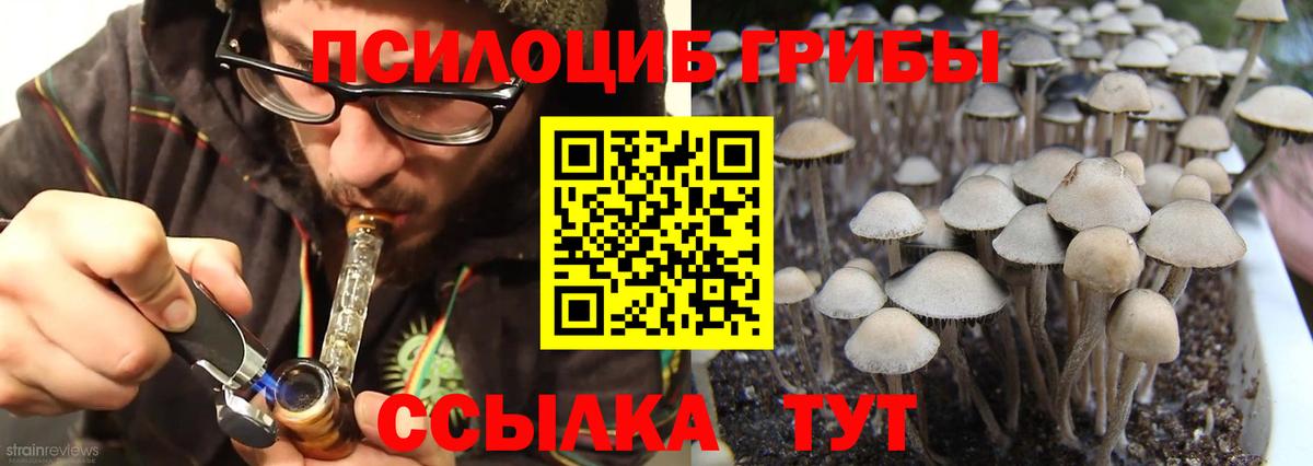 Псилоцибиновые грибы ЛСД Серов